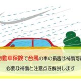 自動車保険　台風