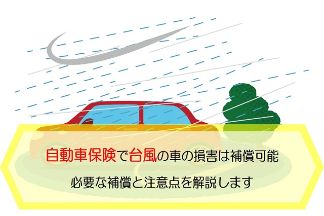 自動車保険　台風