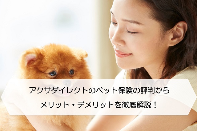 アクサダイレクトのペット保険の評判からメリット デメリットを徹底解説 保険のはてな